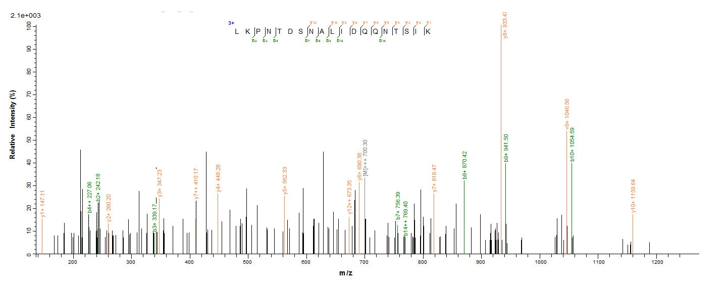 Bacterial CLFA protein