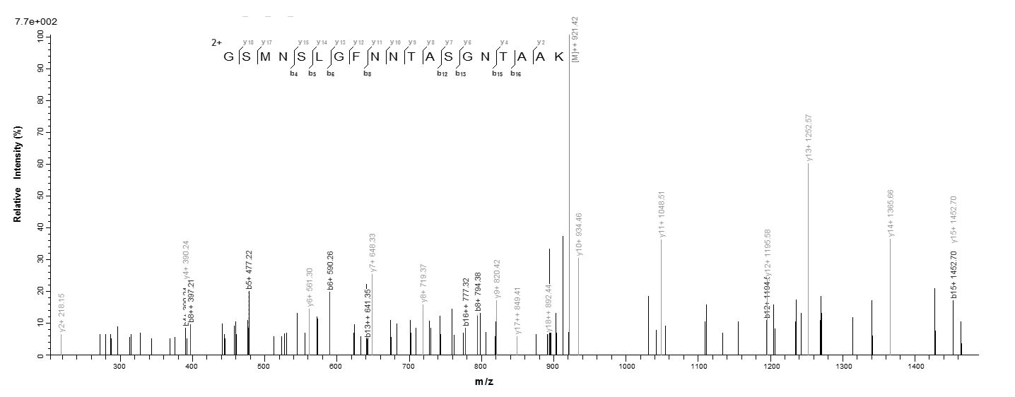 E. coli FANC protein