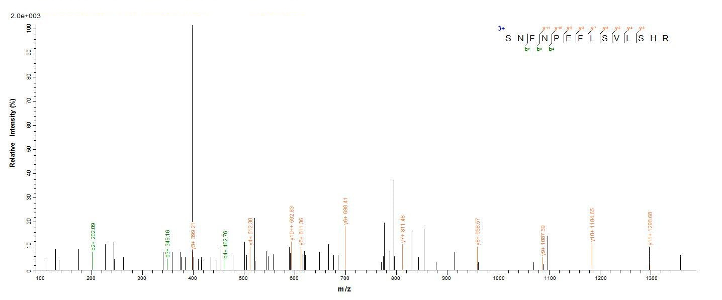 Bacterial HLGB protein