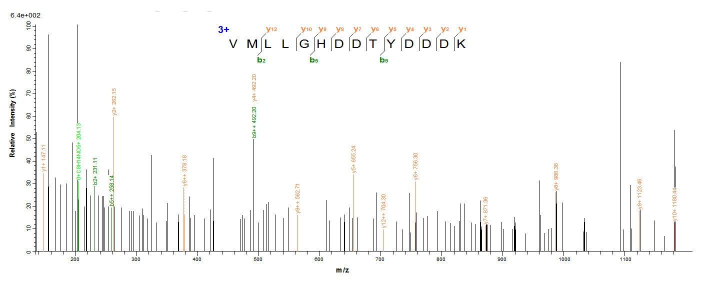 Plant Pectate lyase 1 protein