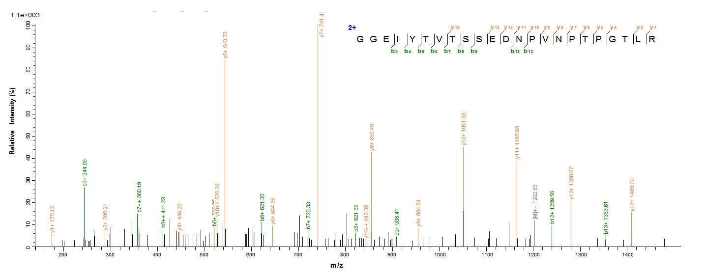 Plant Pectate lyase 1 protein