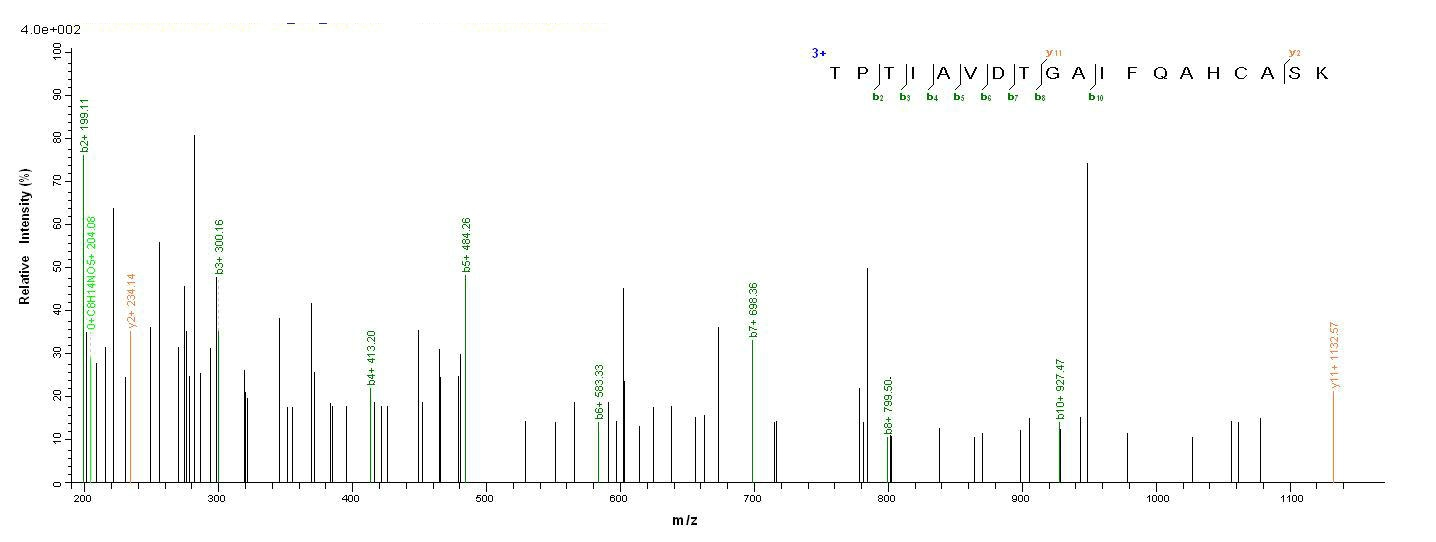Fungi HFB2 protein