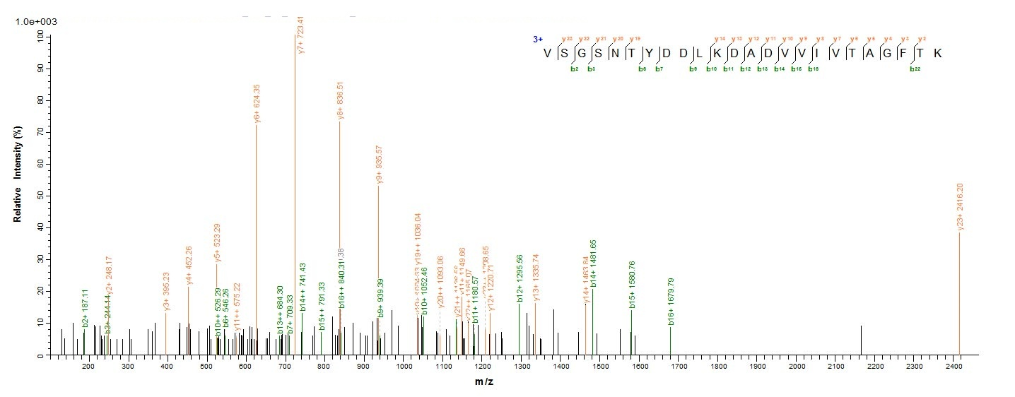 Bacterial PB000185.00.0 protein