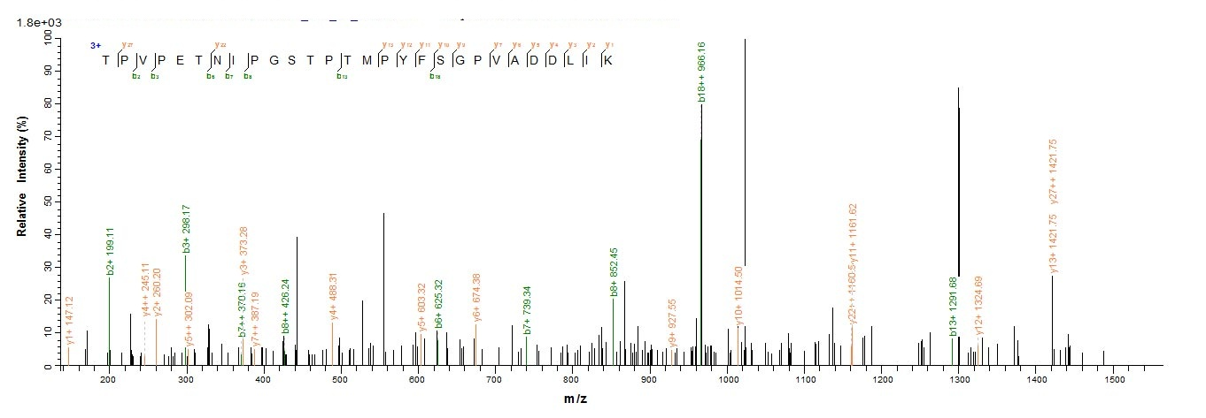 Mouse Ripk1 protein