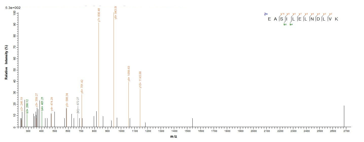 Bacterial RPLL protein