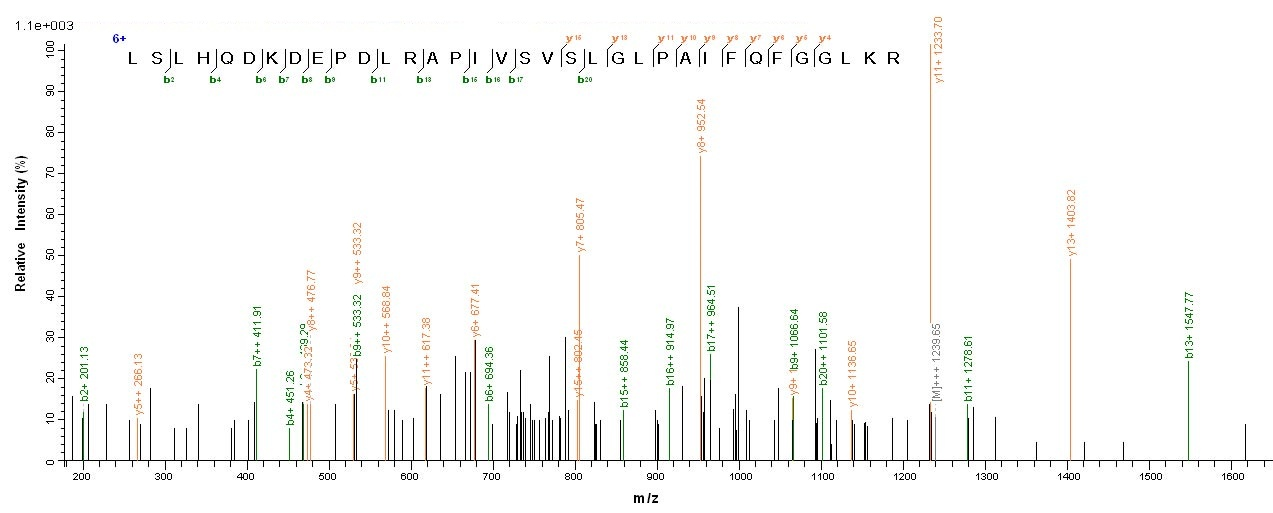 E. coli ALKB protein