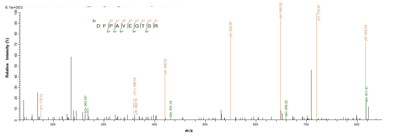E. coli PHRB protein