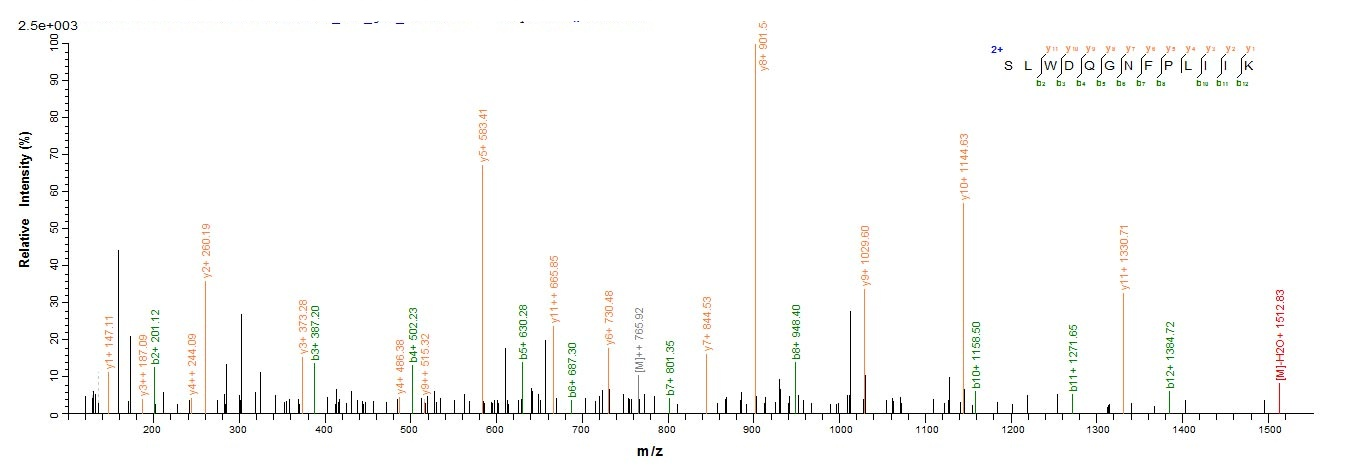 Recombinant Human CD4 Protein
