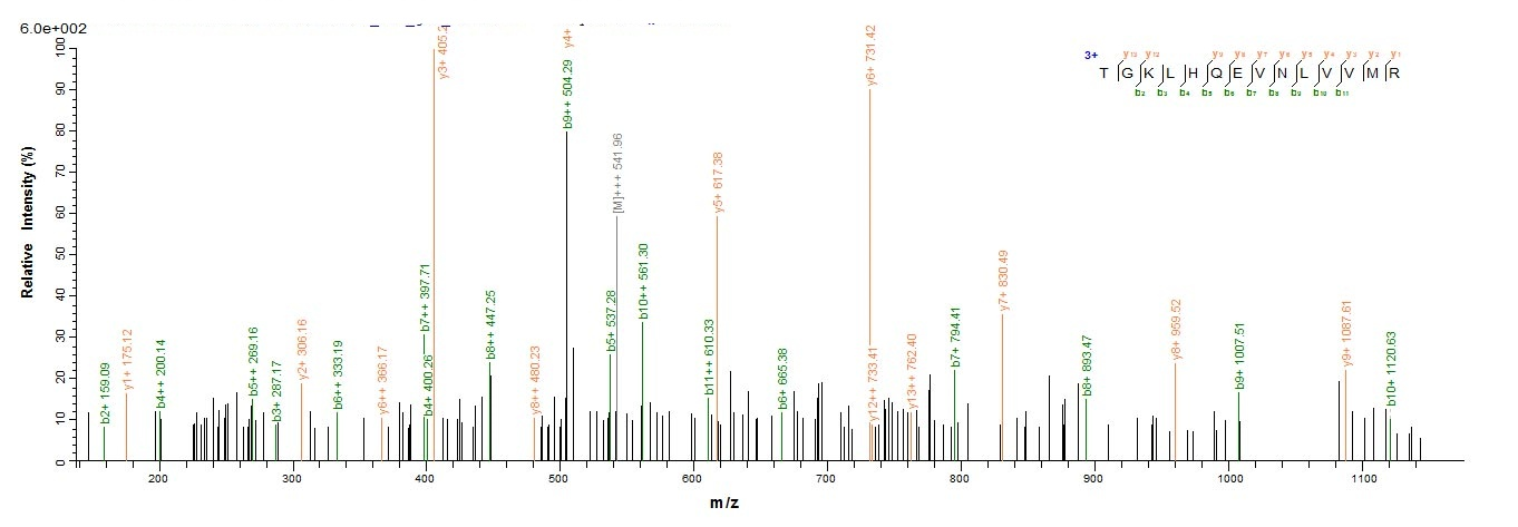 Recombinant Human CD4 Protein