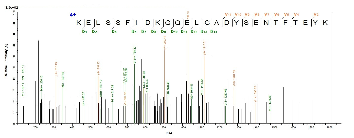 Human Vitamin D-binding protein protein