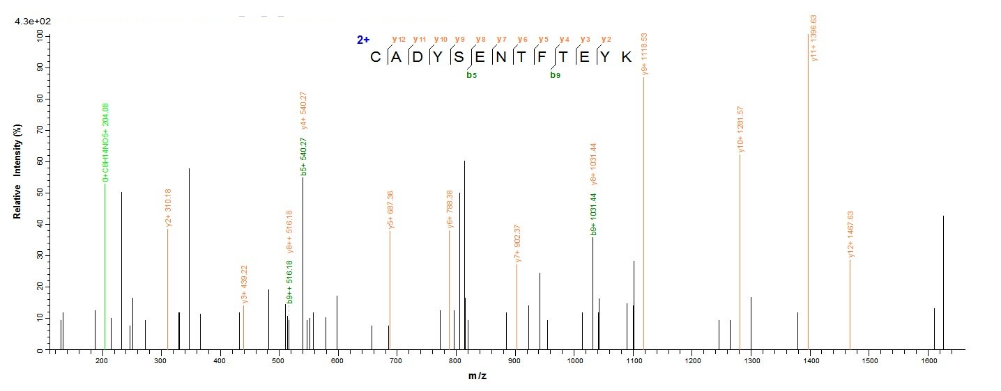 Human Vitamin D-binding protein protein