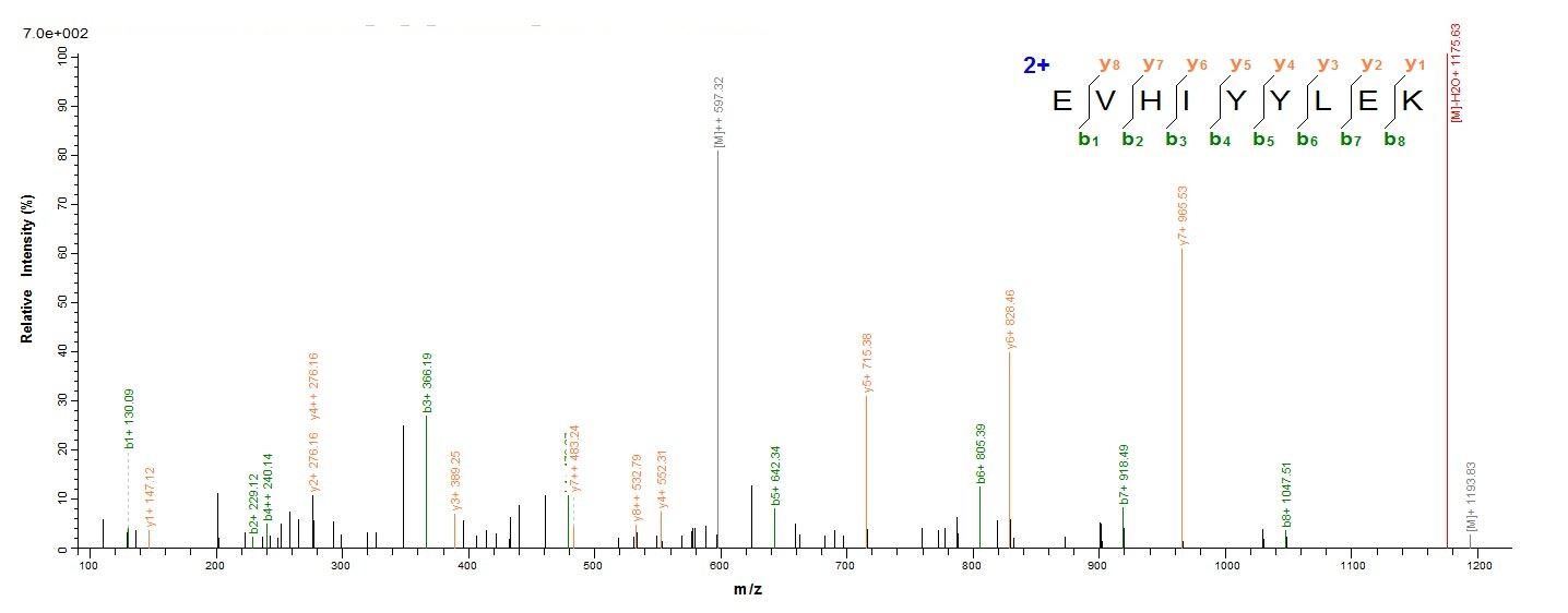 Viral Polymerase acidic protein