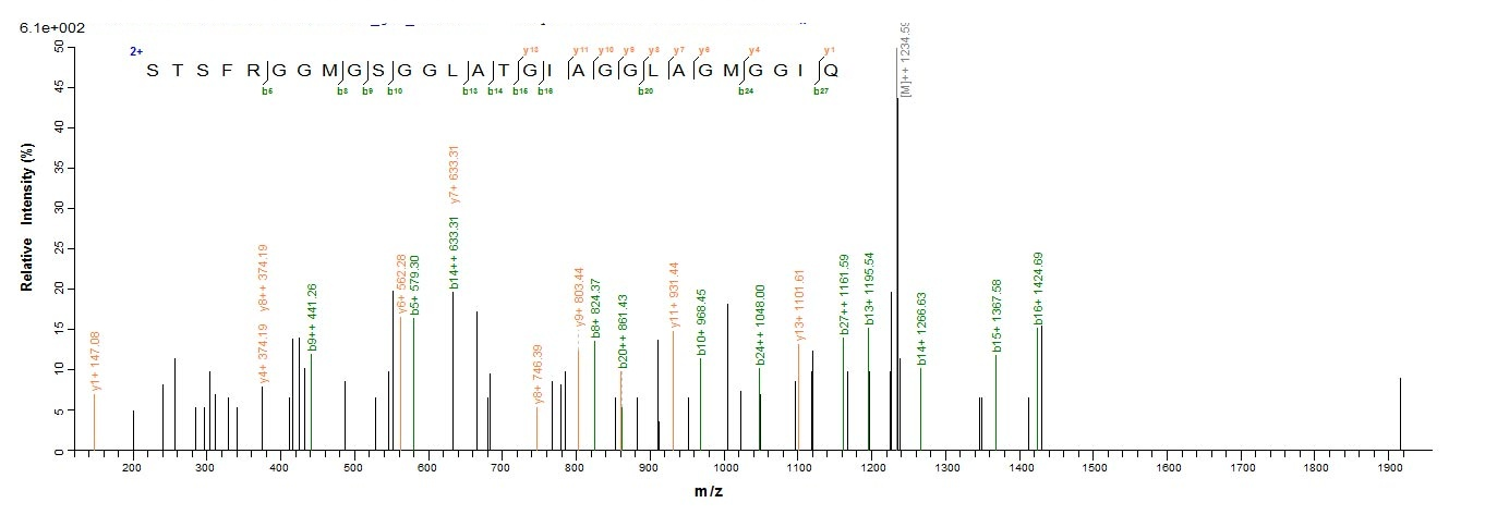 Human KRT18 protein