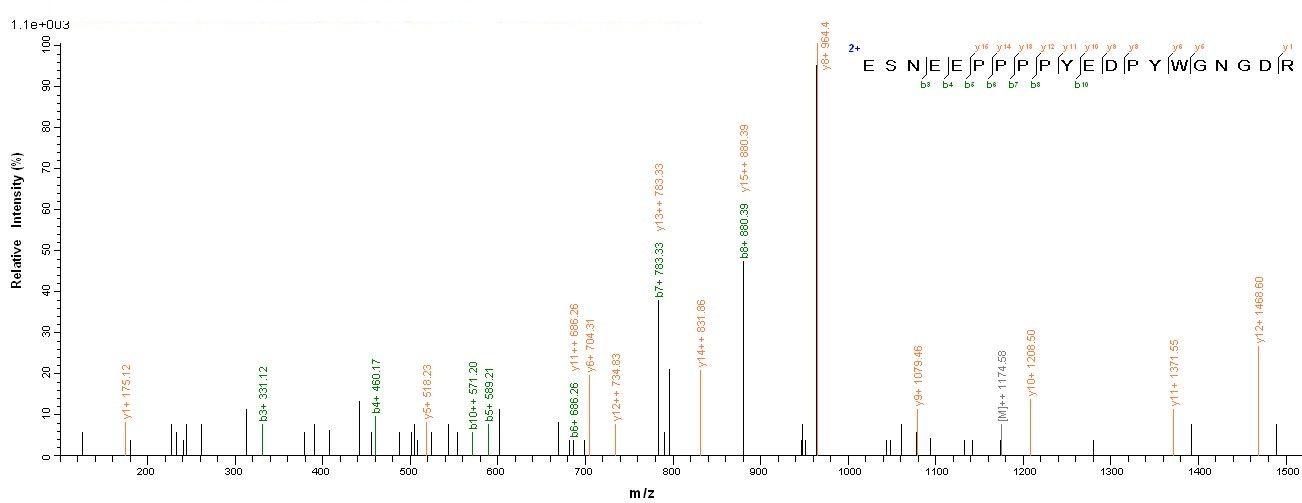 Viral LMP2 protein