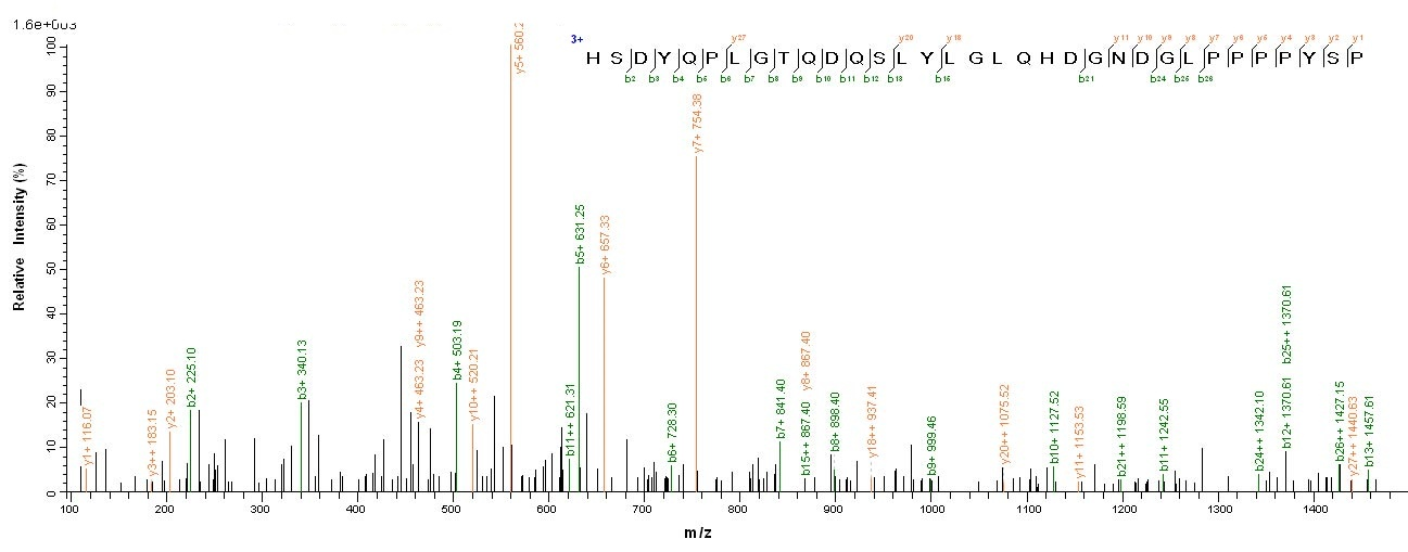 Viral LMP2 protein
