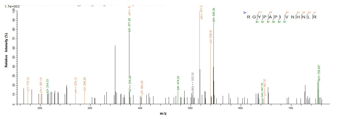 Bacterial phr protein