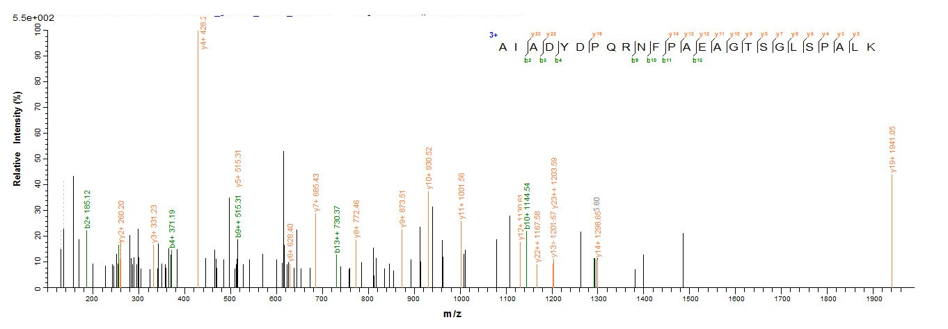 Bacterial phr protein
