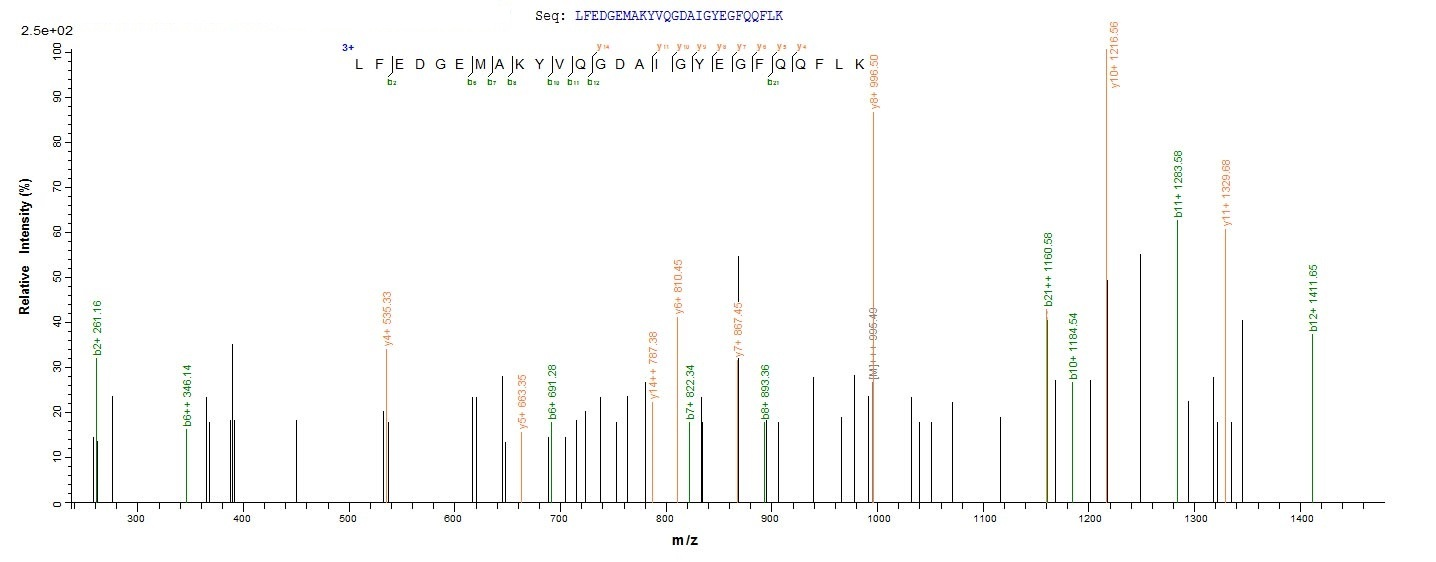 Human DGKA protein