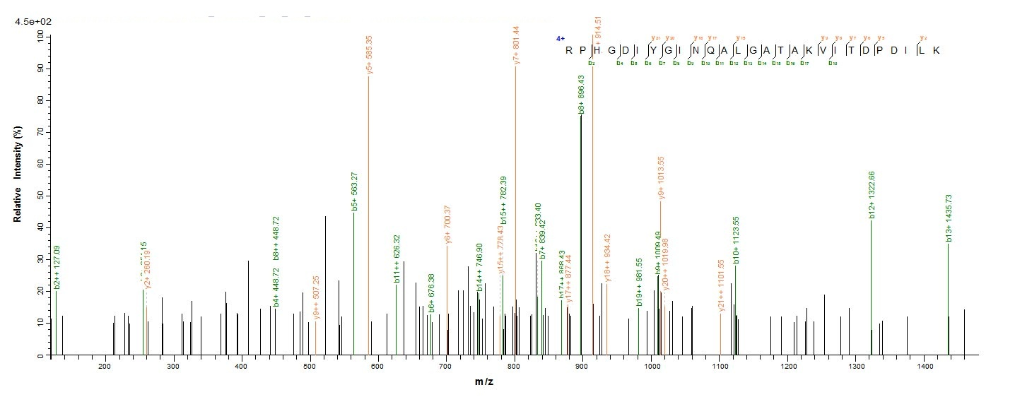 Human DGKA protein
