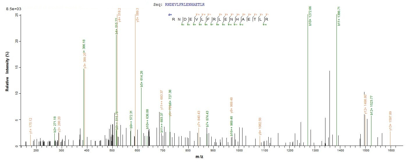 Virus A27L protein