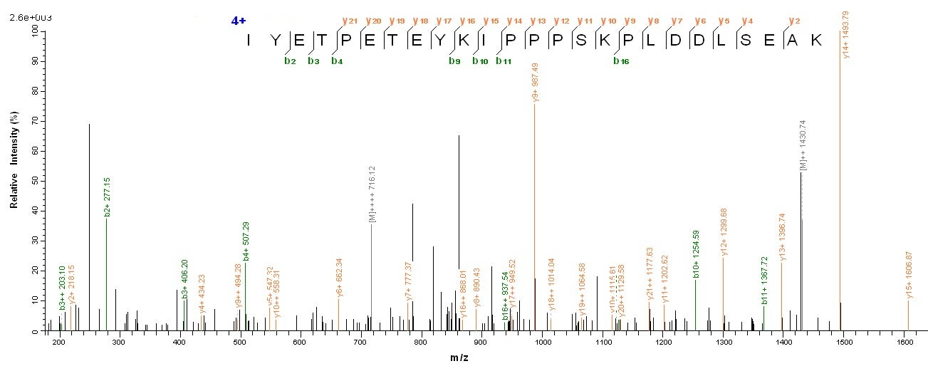 Drosophila RpS3 protein