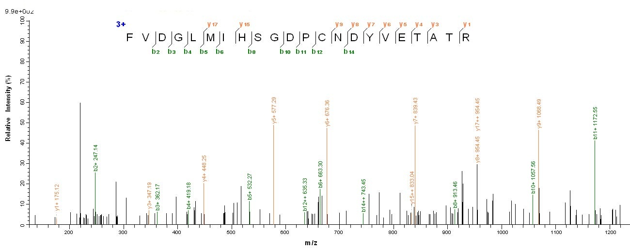 Drosophila RpS3 protein