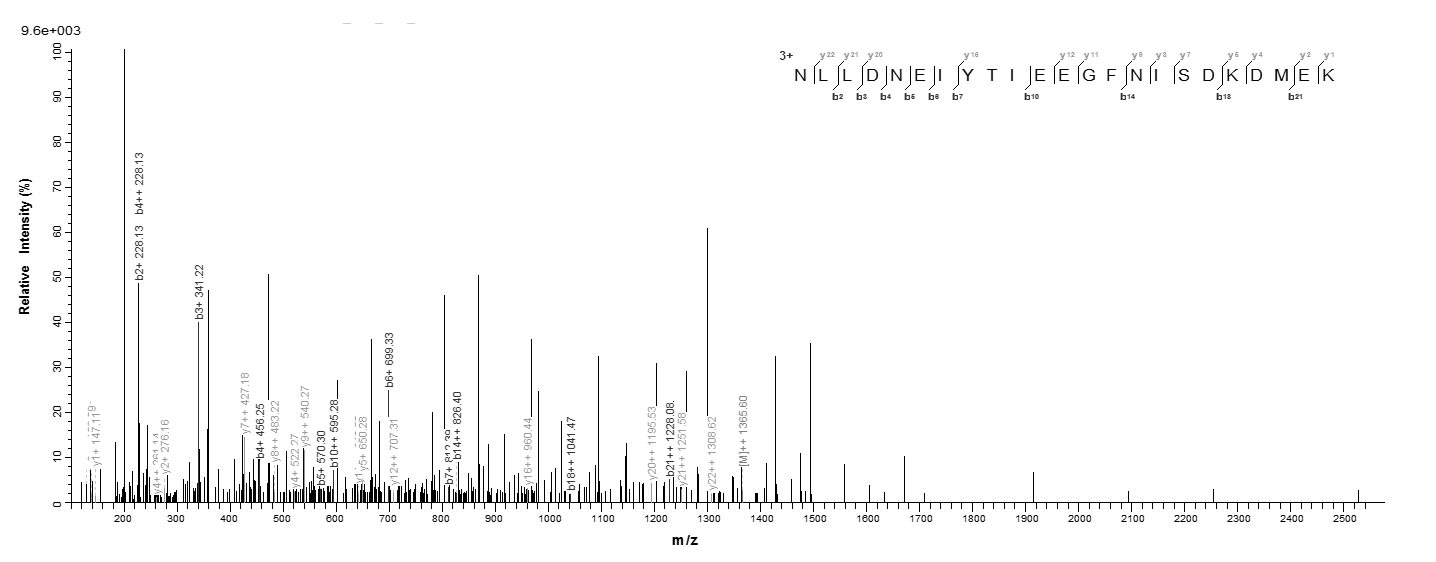 Bacteria botB protein