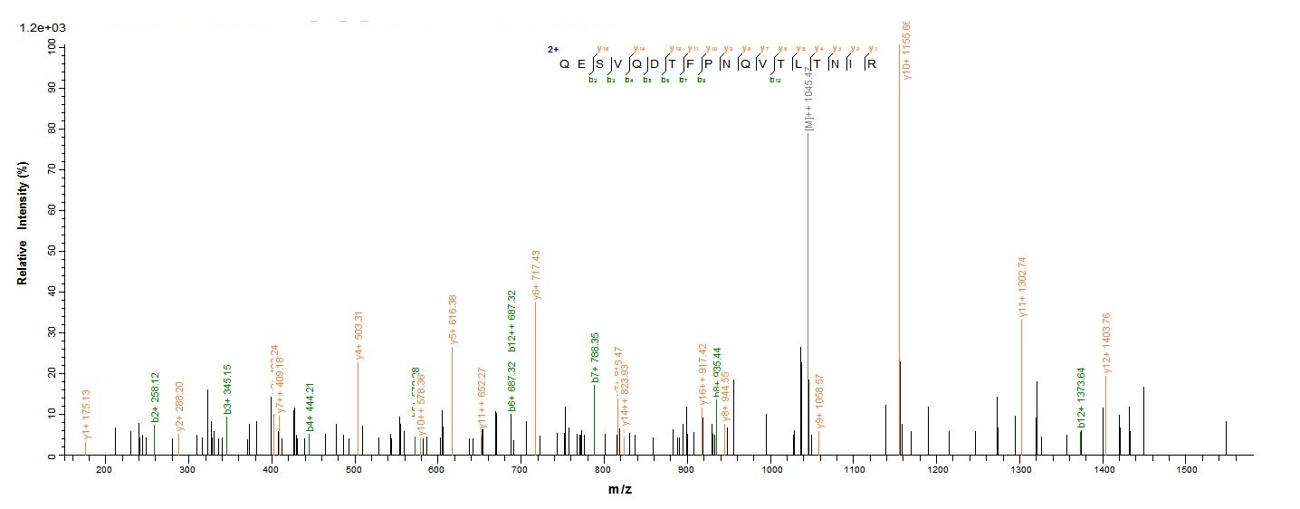 Plant Abrus precatorius Abrin-a protein
