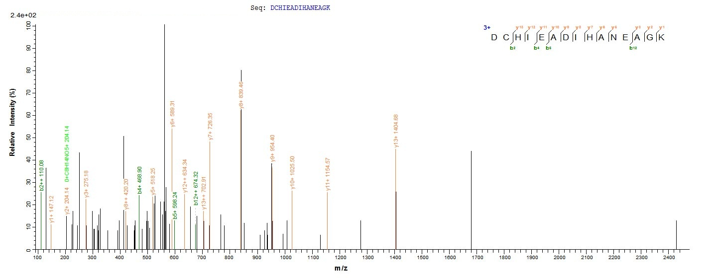 Bacteria tpd protein