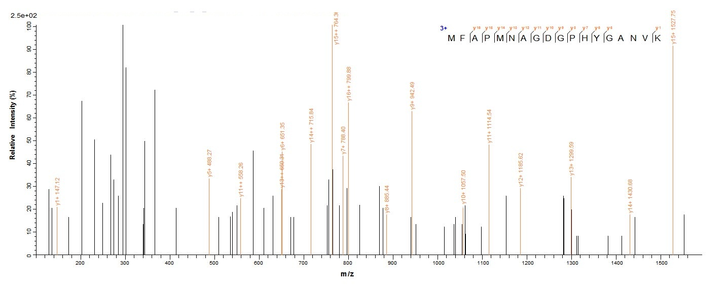Bacteria tpd protein