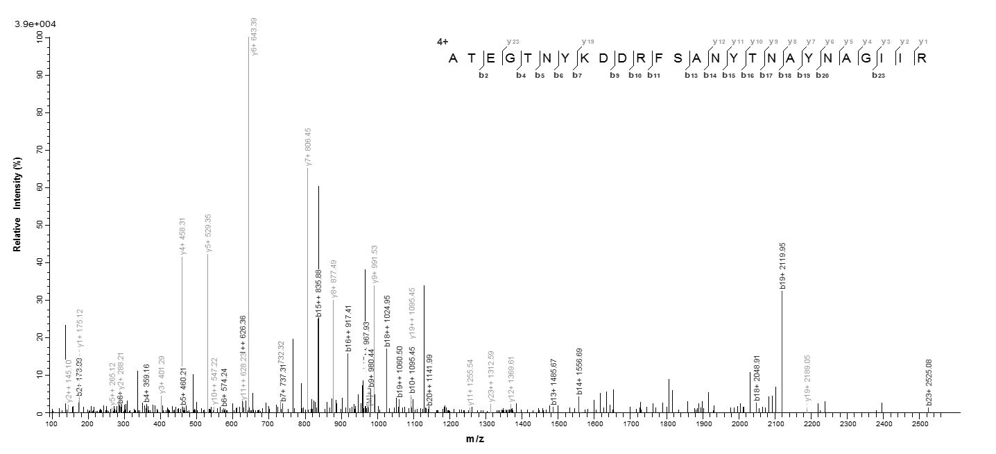 Bacteria acm protein