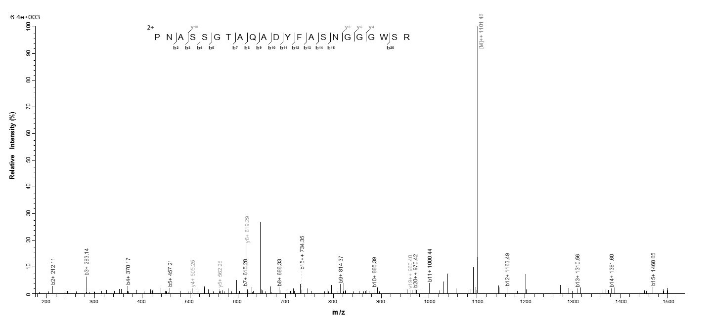 Bacteria acm protein