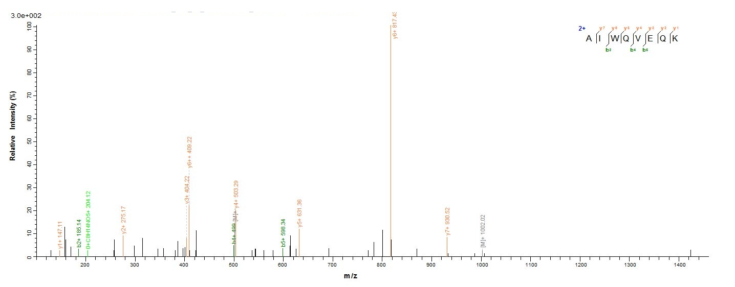 Bacteria porB protein