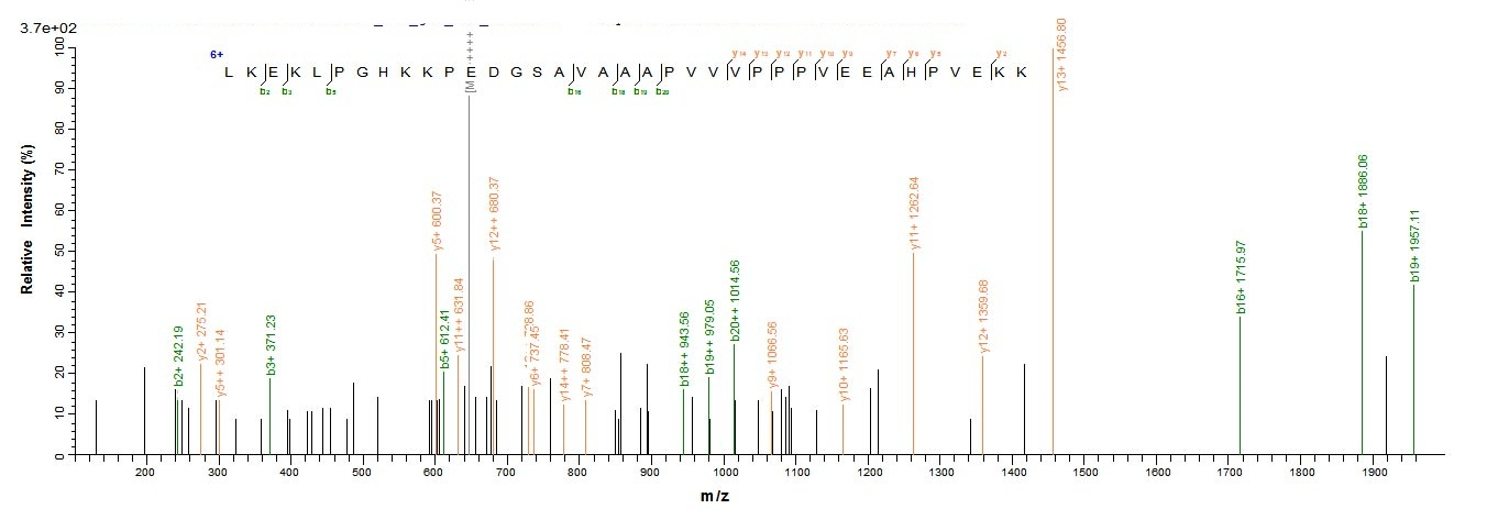 Plant ERD14 protein
