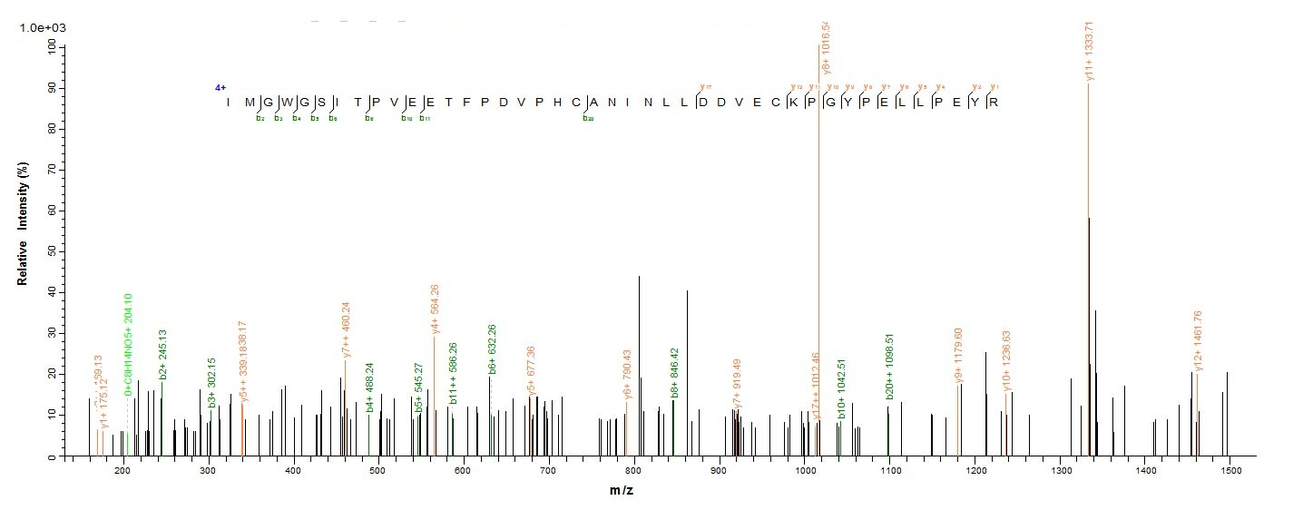 Reptile TLF1 protein