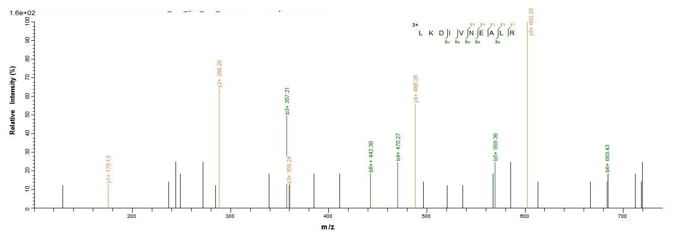 E. coli cea protein