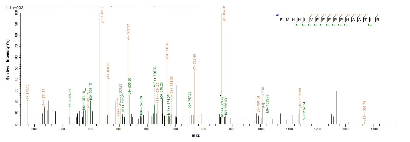 Virus Yellow fever virus Genome polyprotein protein