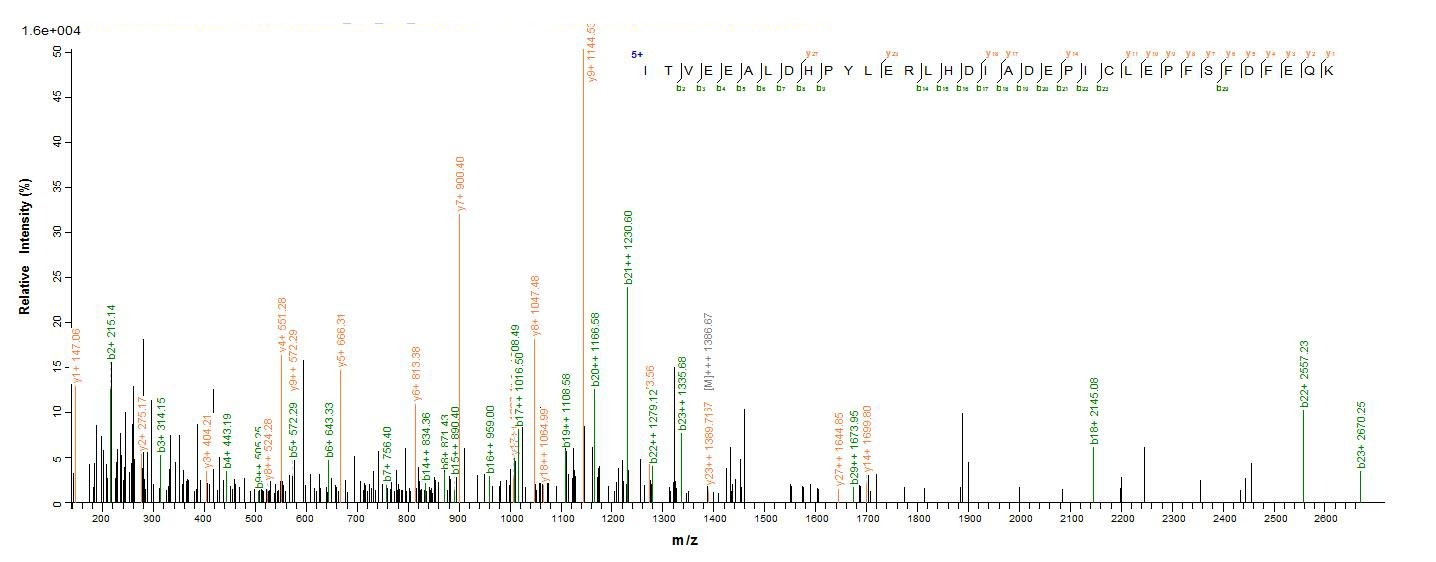 Plant MPK5 protein