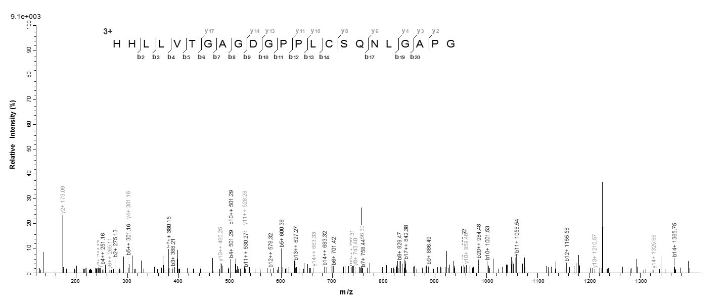 Virus LMP1 protein