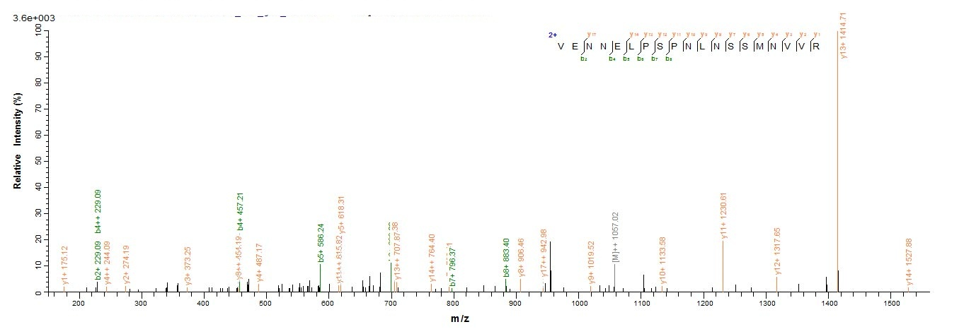Mouse Milr1 protein