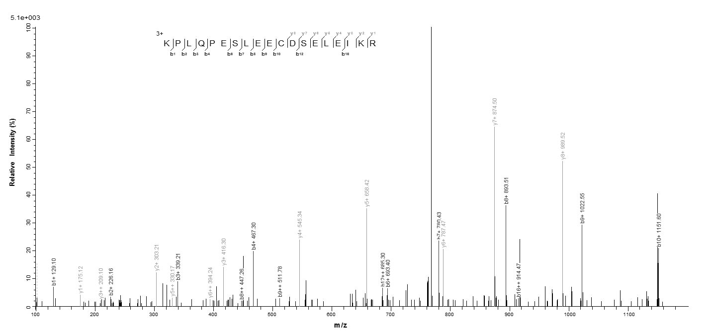 Virus BZLF1 protein