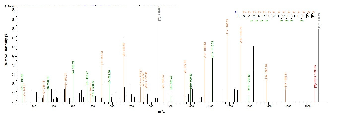 Mouse Zc3h12a protein