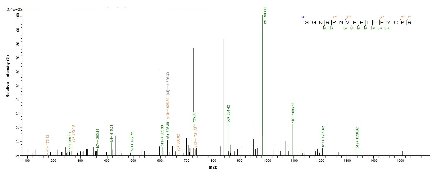Mouse Ripk1 protein