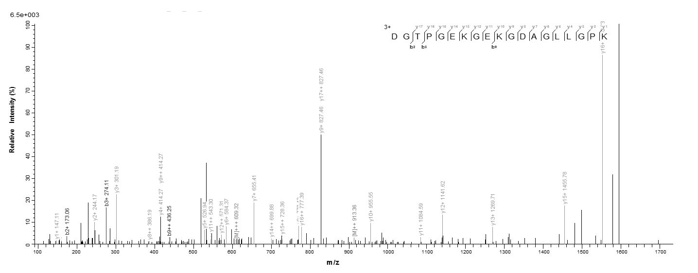 Mouse Adipoq protein