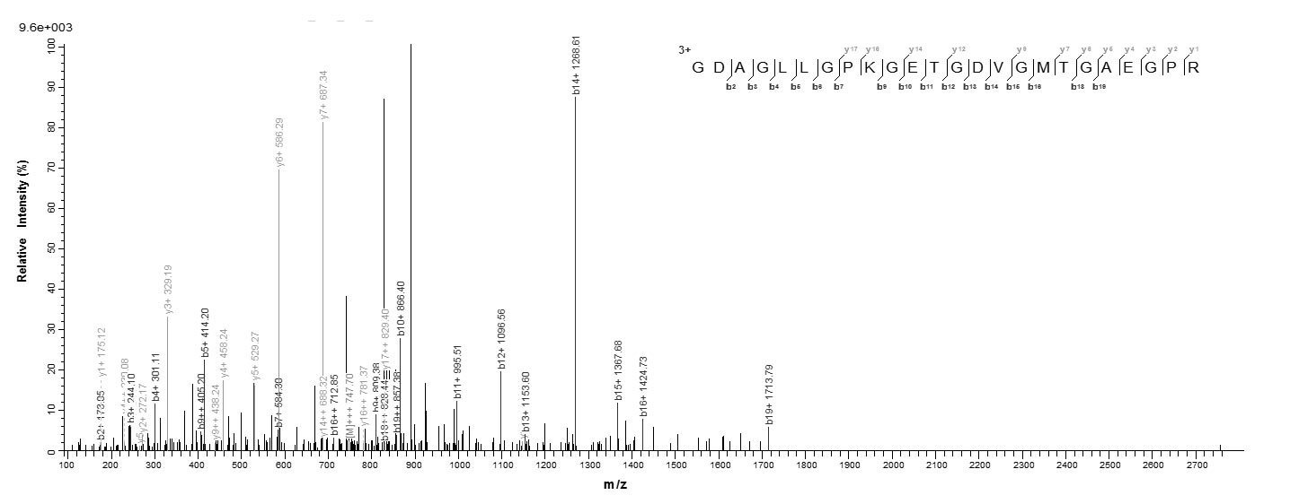 Mouse Adipoq protein