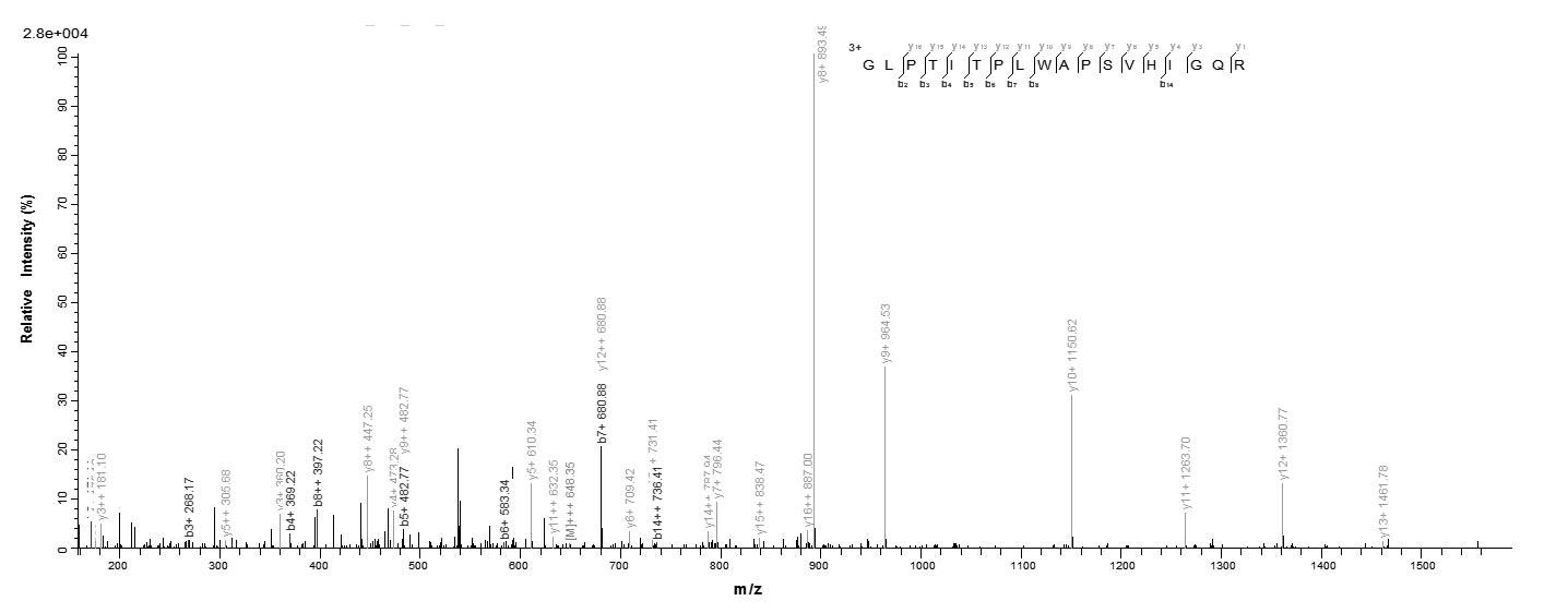 Human ASTL protein