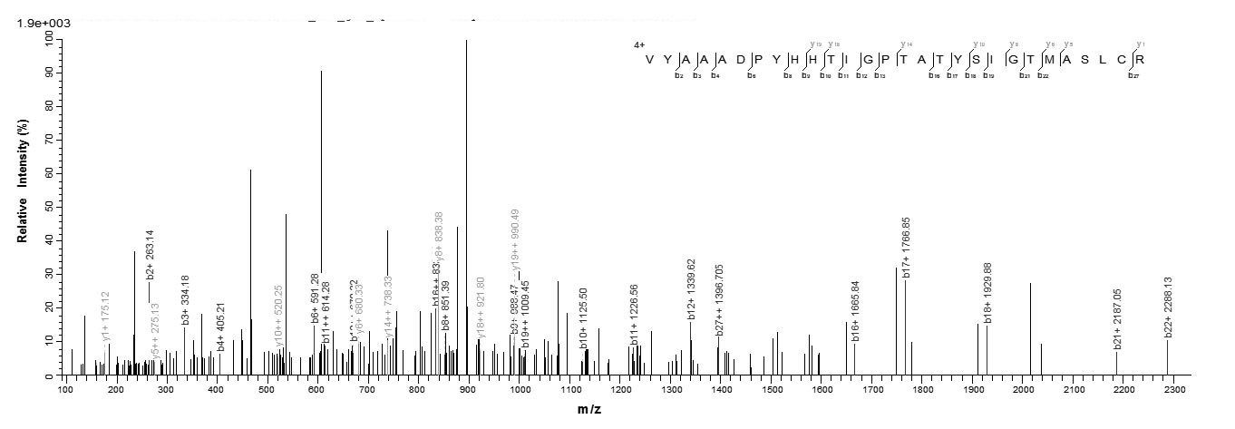 Mouse Rbfox3 protein