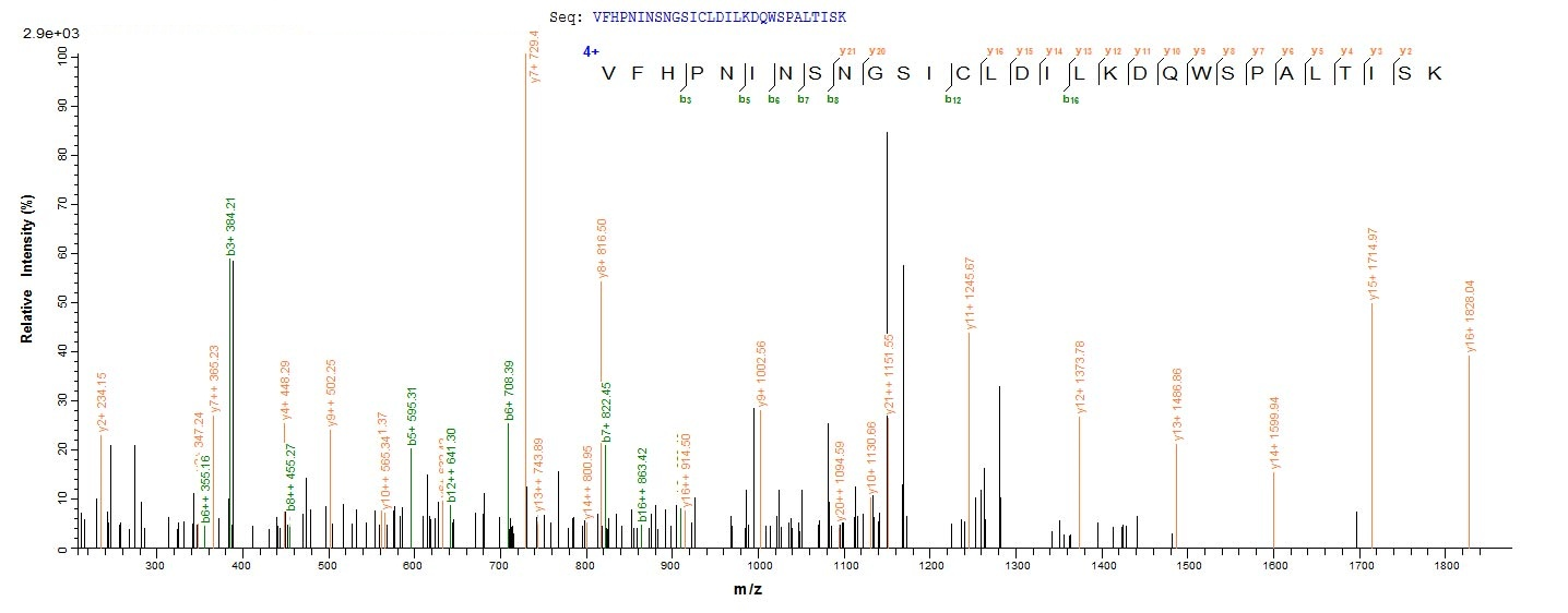Plant UBC5A protein