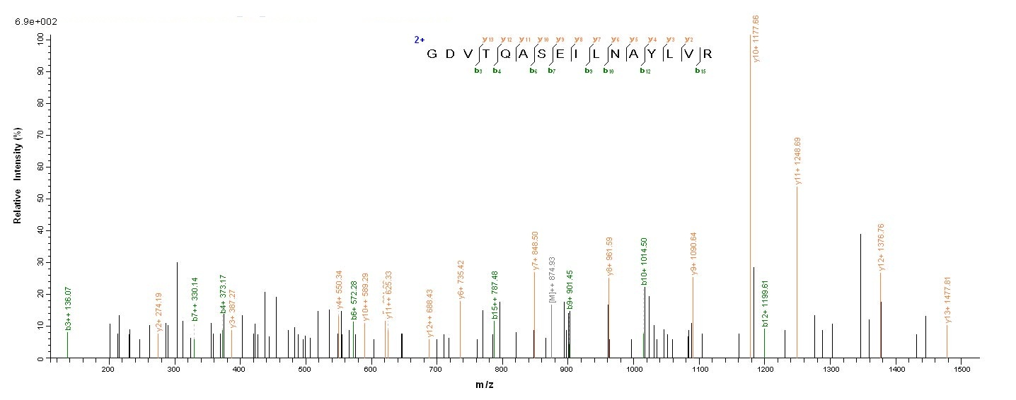 Mouse Upk3a protein