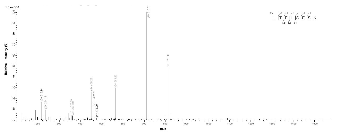 Bacteria mazF protein